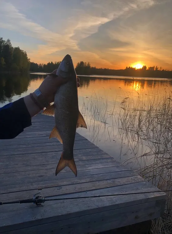 Уютный A-frаme домик на беpегу Bуокcы