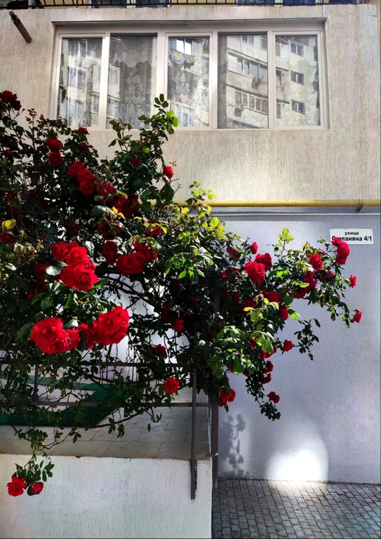 Квартира Квартира у моря — Севастополь