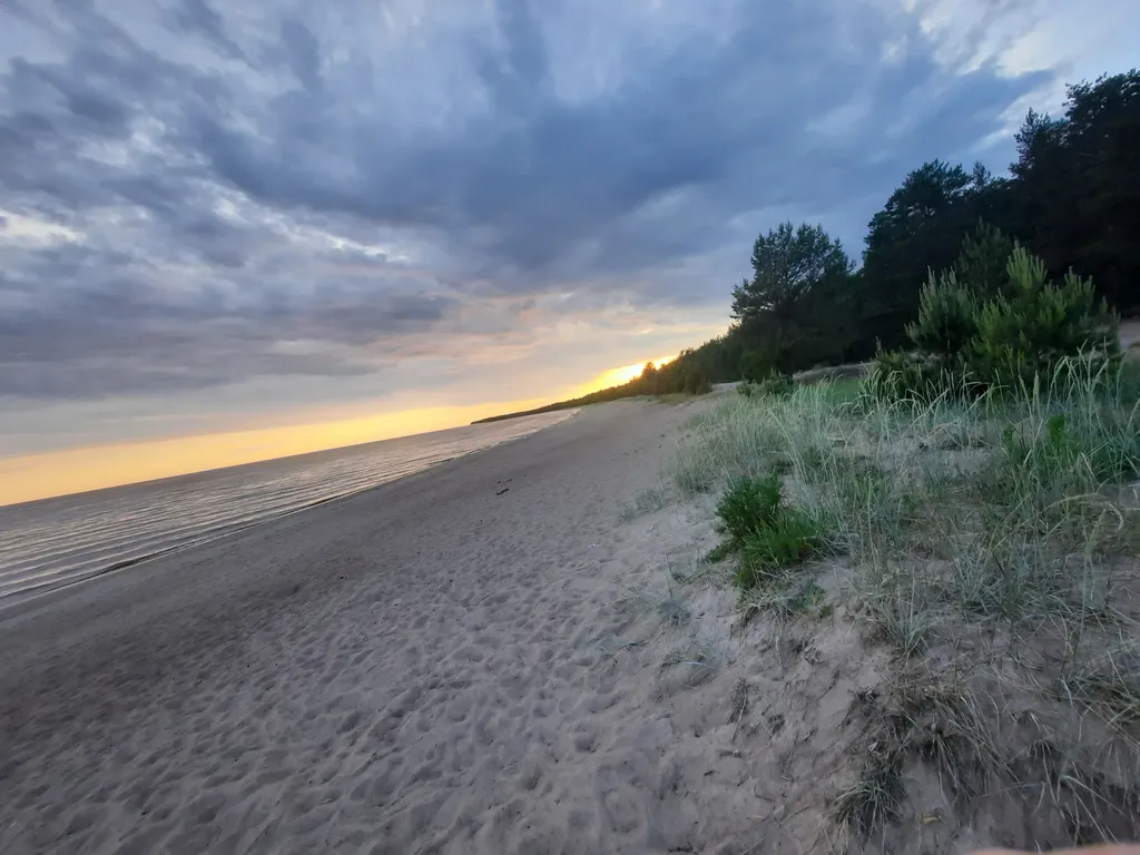 Гостевой дом в сосновом бору на Ладоге