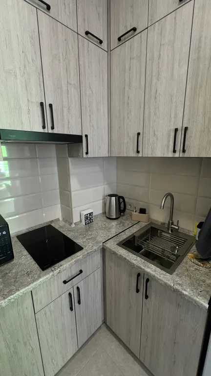 Квартира 1-комнатная Квартира — Сириус