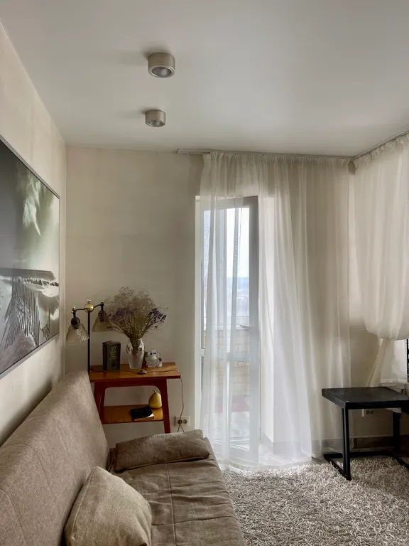 Большая однокомнатная квартира в центре города