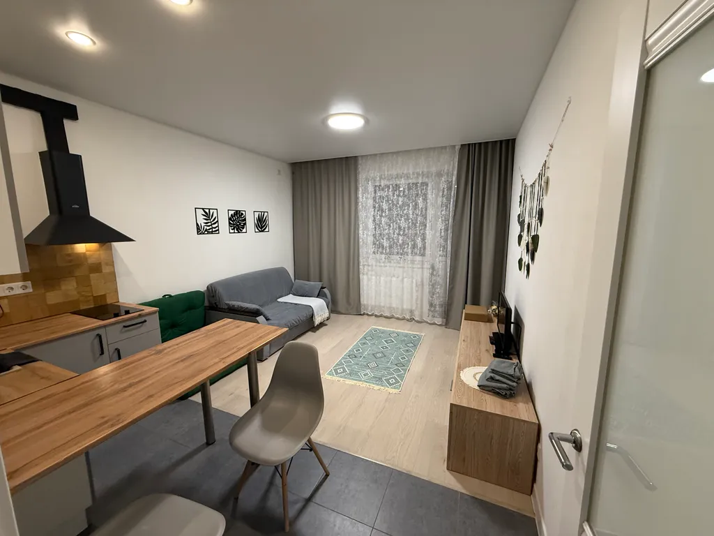 Студия в Новом Пушкино