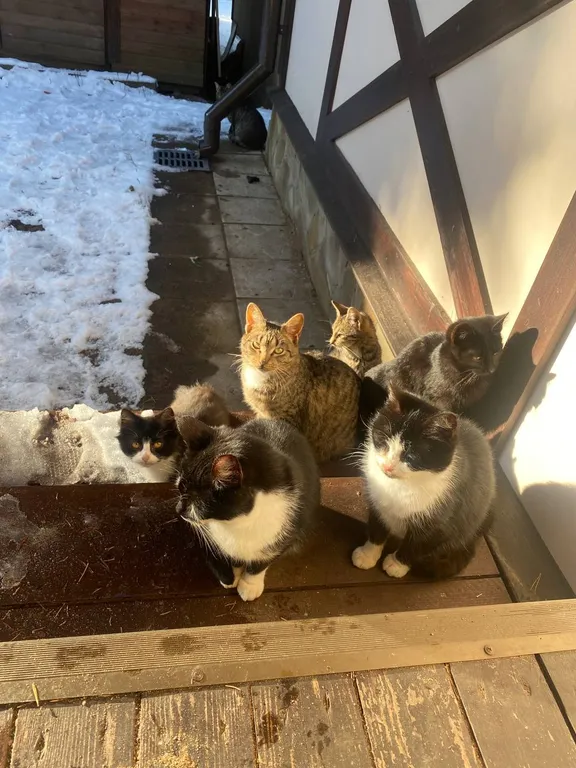 Уютный флигель у озера Большое Борково