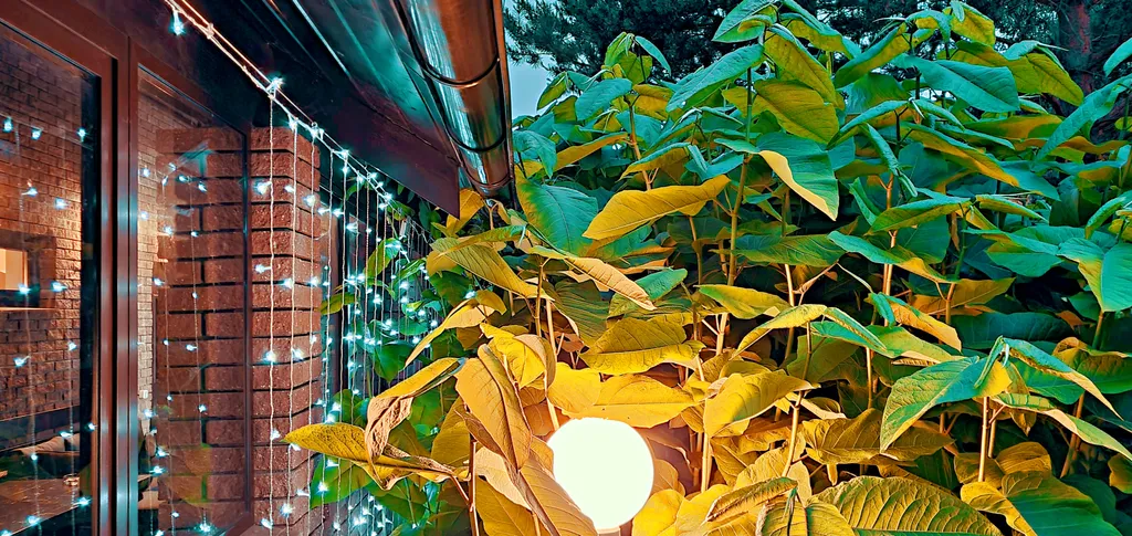 Дом Зелёный дворик