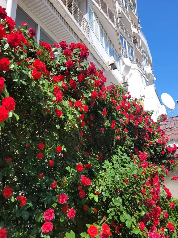 Уютный апартамент с видом на море