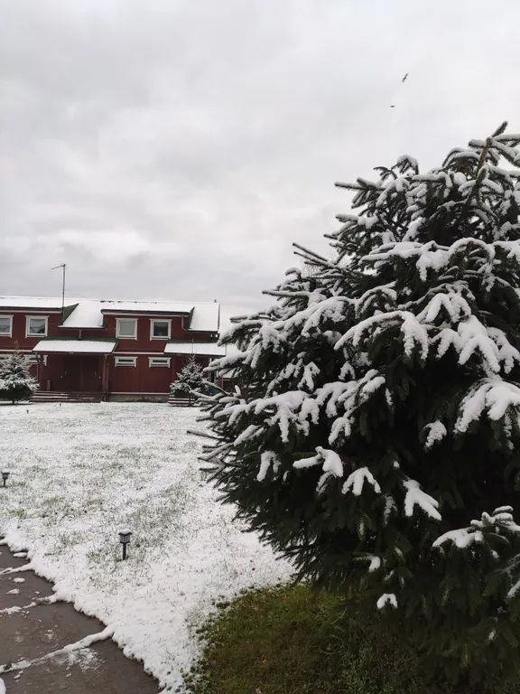 Piknikki Апартамент с видом на Суходольское озеро