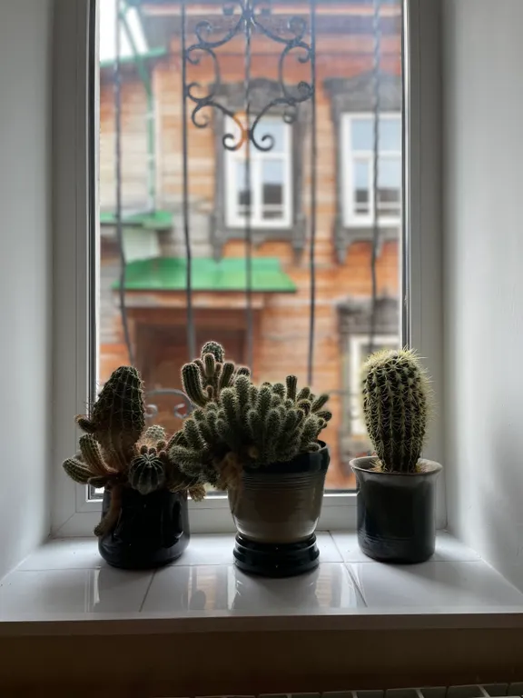 Уютная трехкомнатная квартира в центре города