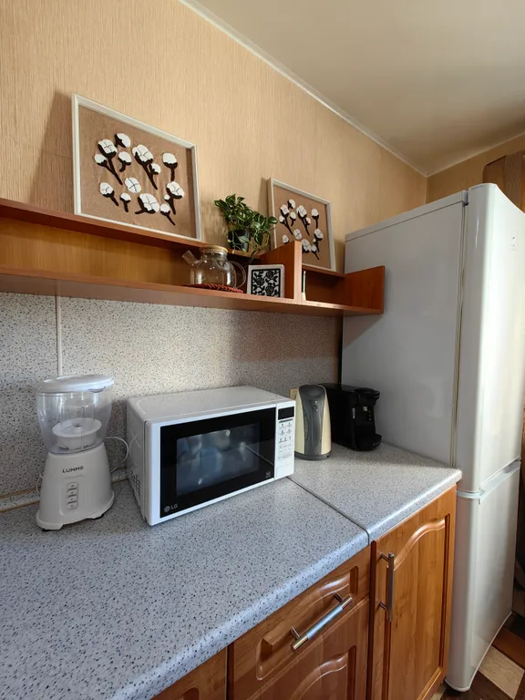 Просторная квартира у ЖД Вокзала, трёхкомнатная