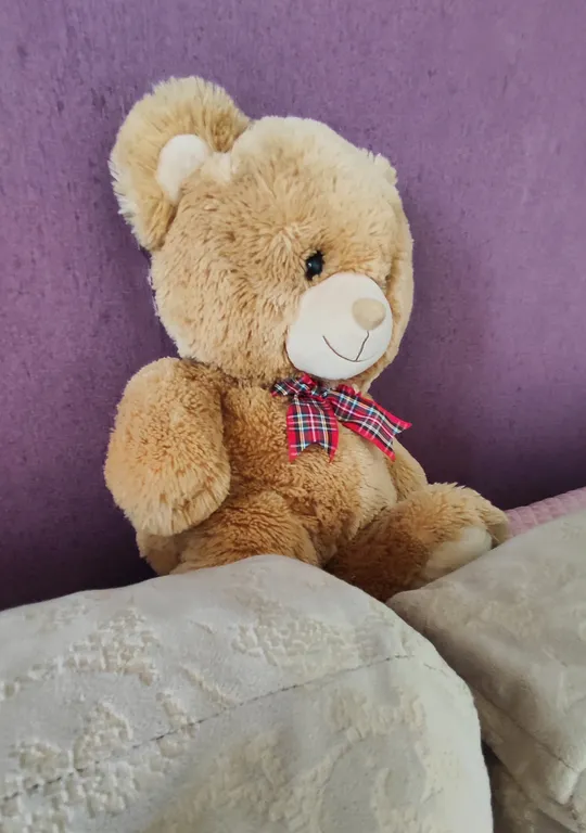 Апартаменты на 24