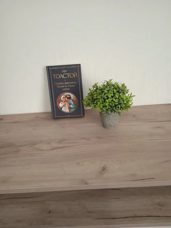 Просторная квартира в районе Аэропорта