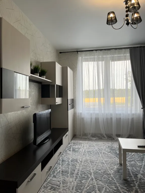 Квартира Уютная однокомнатная квартира от собственника — Светлогорск