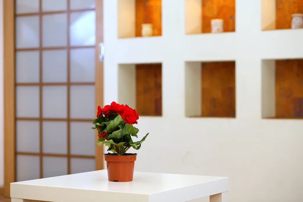 Квартира Квартира на Мира у ОмГТУ — Омск