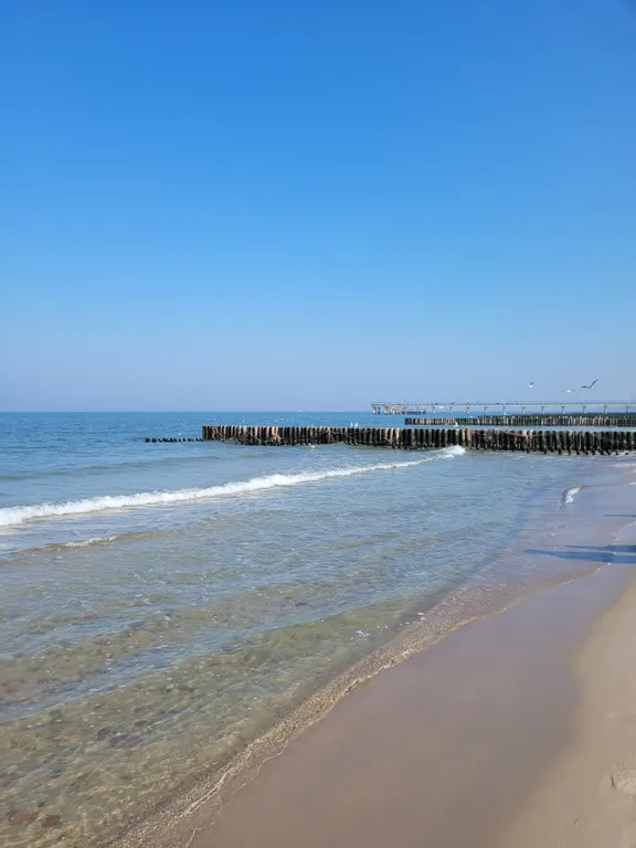 Квартира Апартаменты Baltic Beach — Зеленоградск