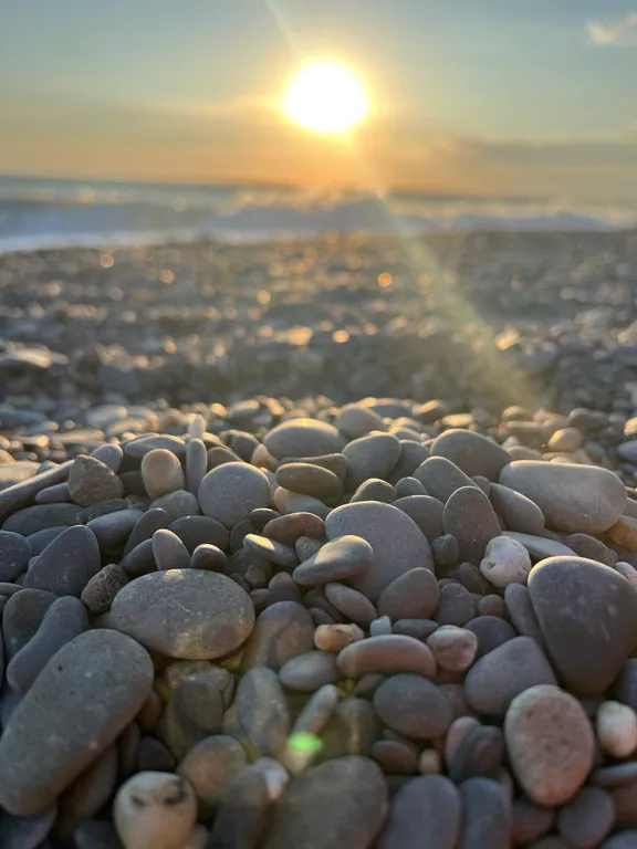 Модуль дача-4