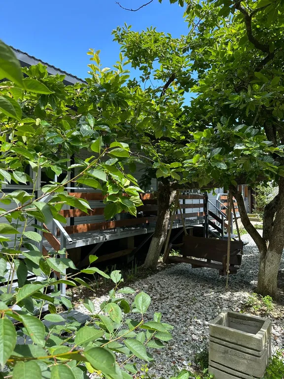 Спокойный отдых