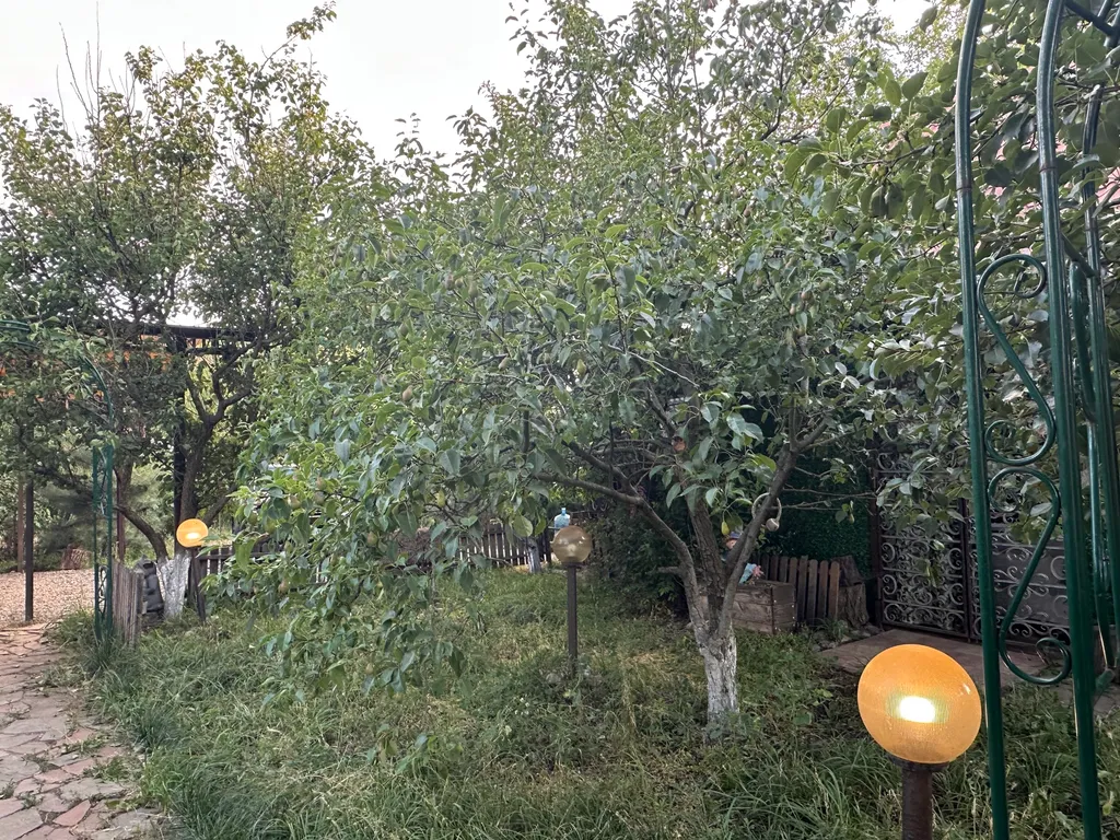 Уютный домик рядом с садом, хвойными деревьями, рядом с тц