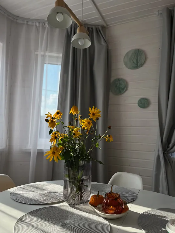 Загородный дом Сканди с баней и чаном