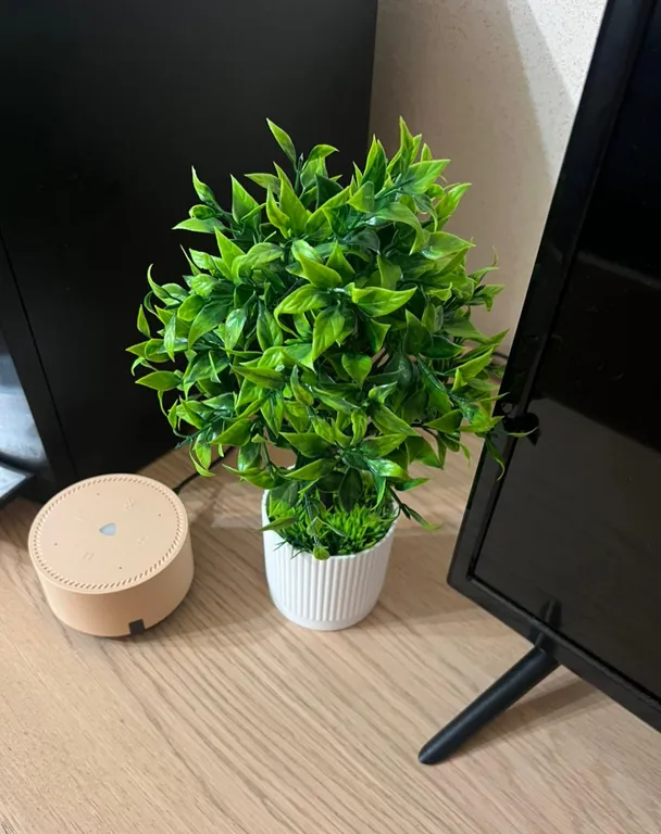 Уютные апартаменты в развитом новом райне