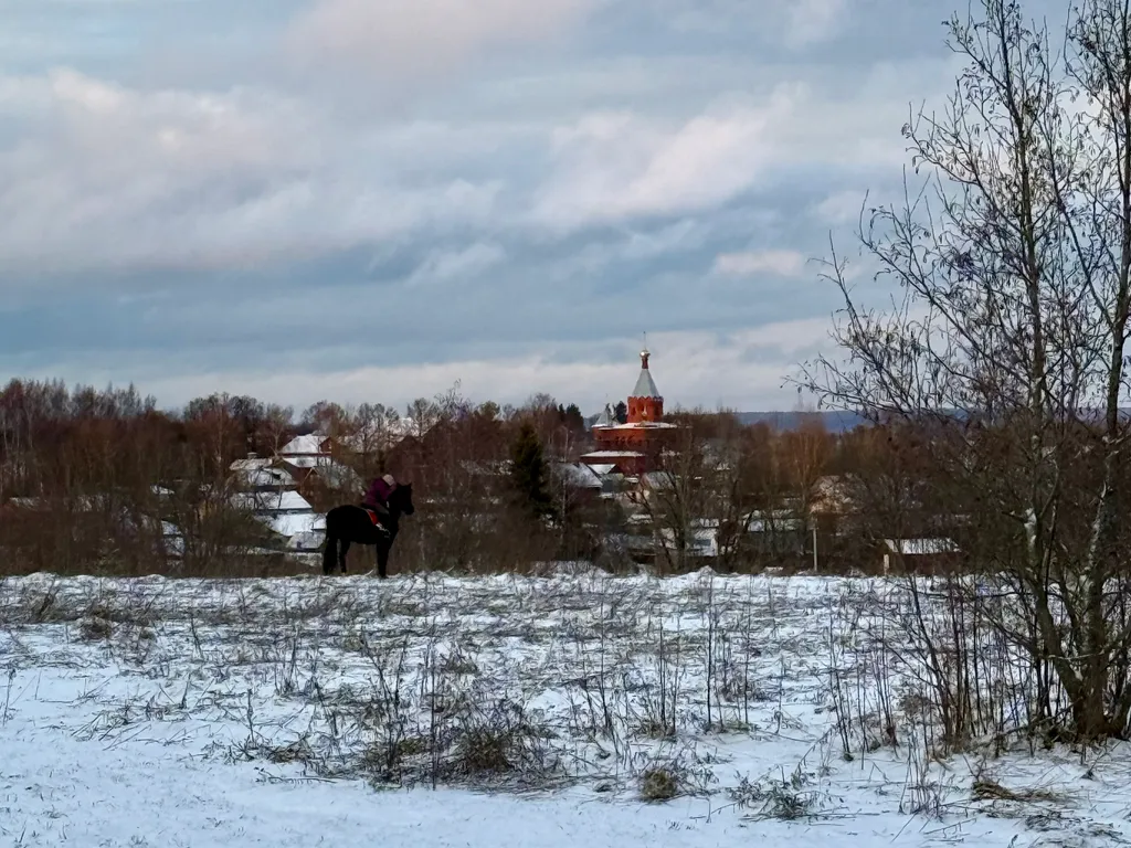Коттедж Дом у леса Ольха хаус — Новоселье