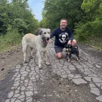Алексей Косаревский