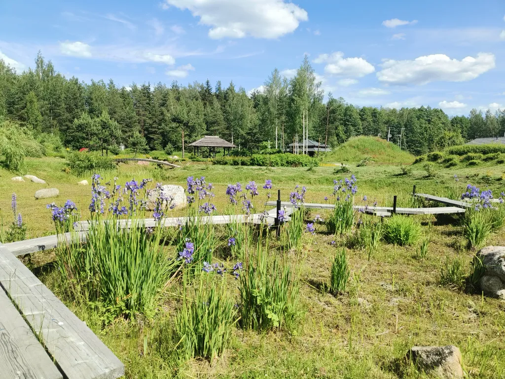 Шале с камином