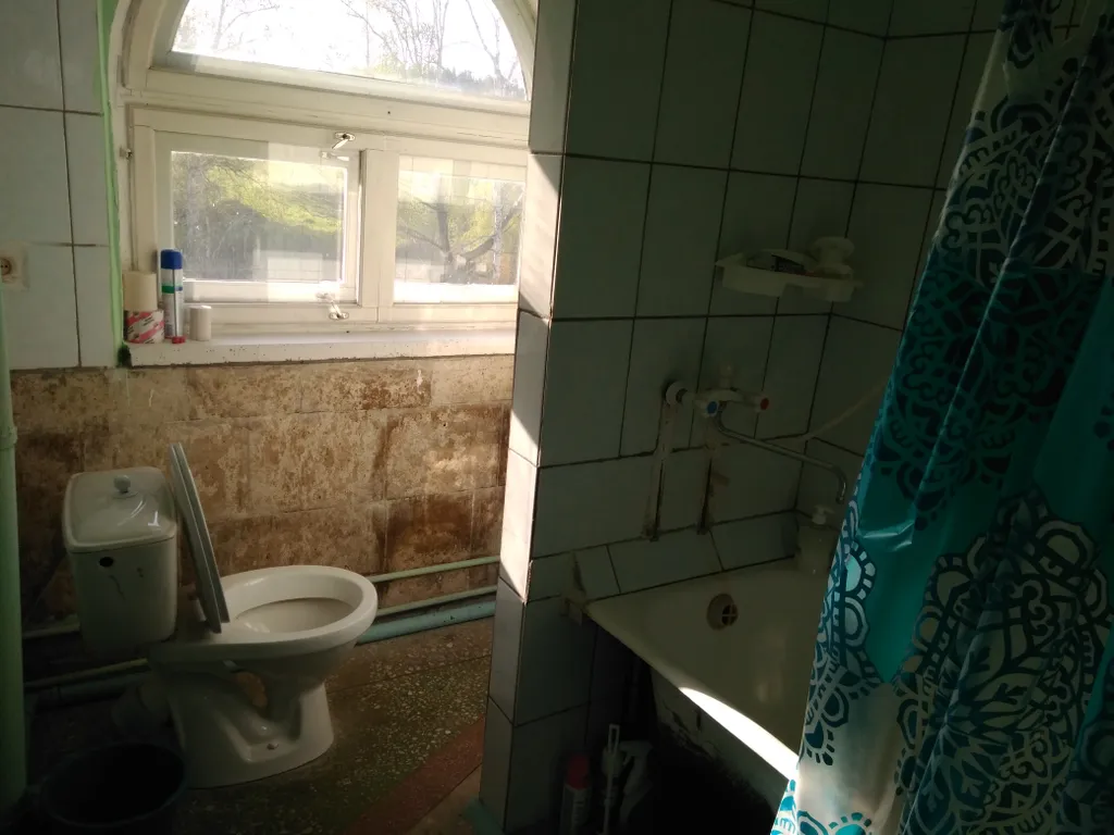 Тихий домик в лесу