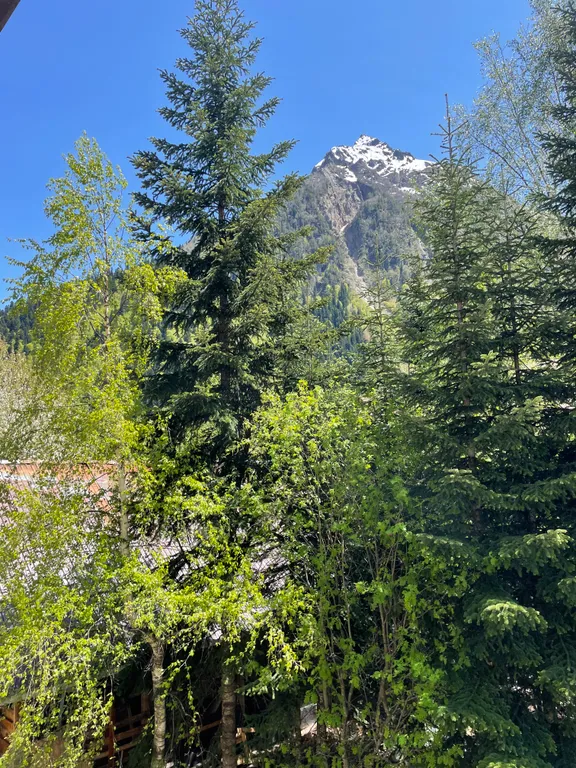 Уютный номер в сердце посёлка