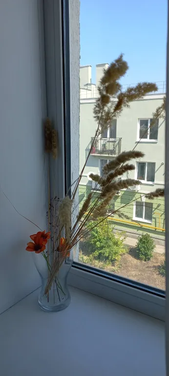 Уютное гнездышко