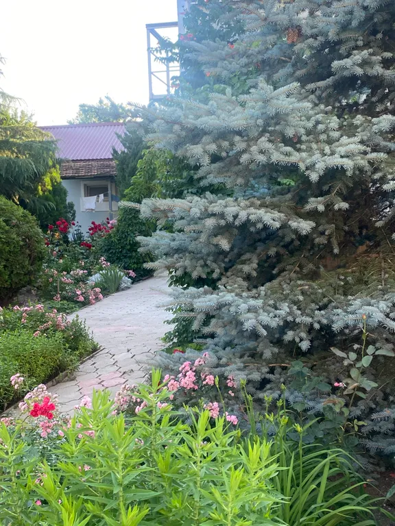 С бассейном рядом с морем