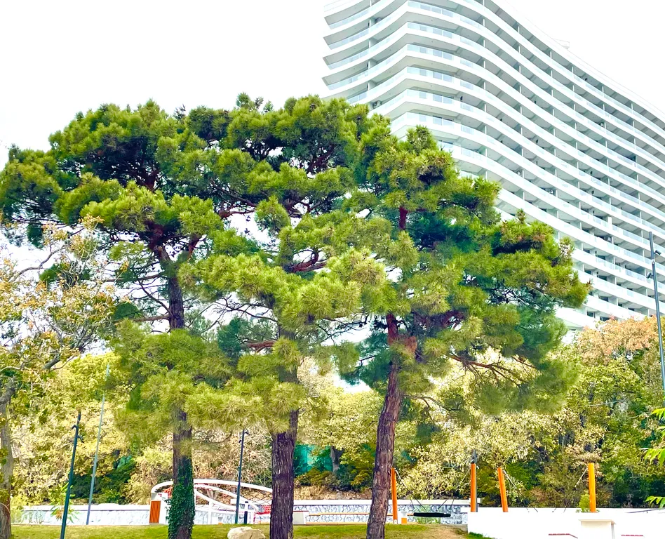 Апартаменты с видом на море