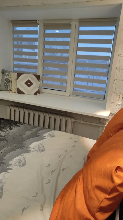 Питерский вайб у цирка