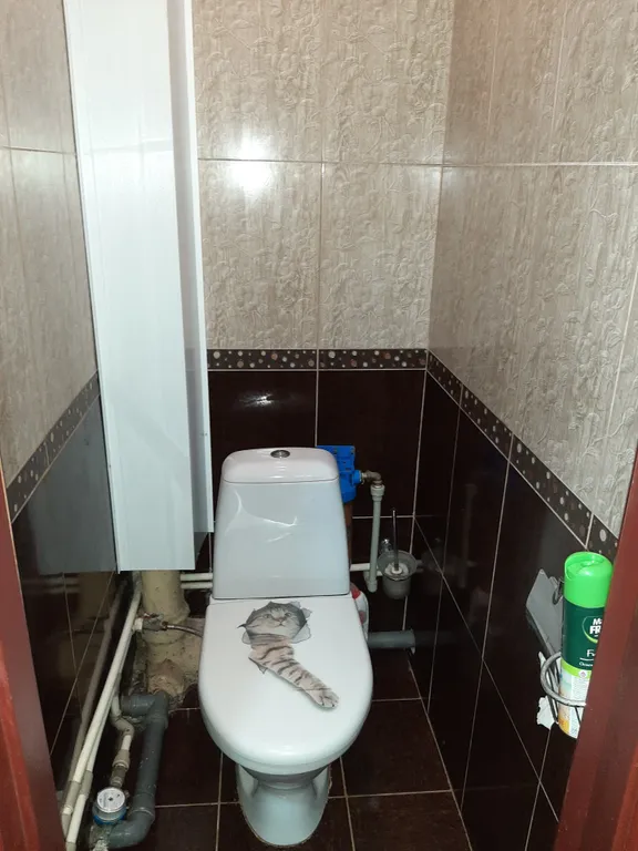 Квартира Комфортная квартира — Джанкой