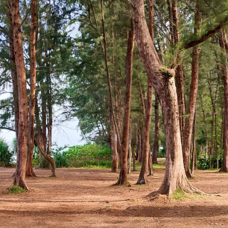Современный уютный апартамент, пляж Май Кхао