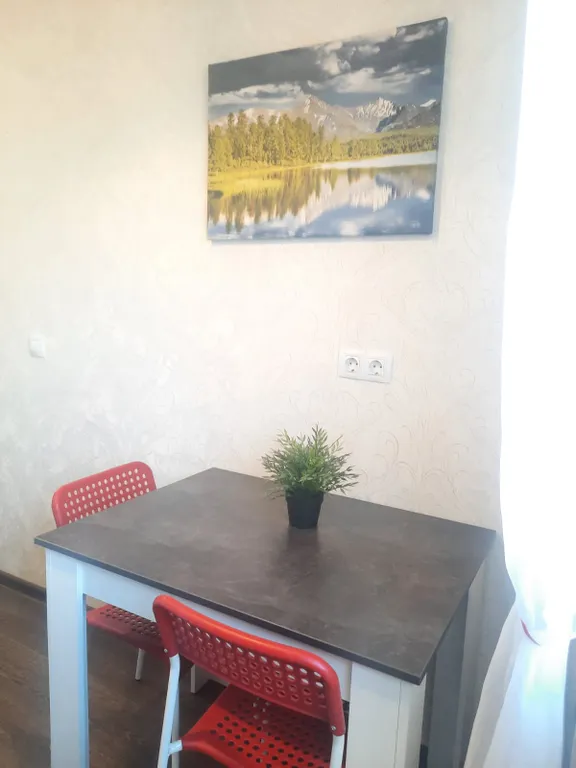 Квартира рядом с Аэропортом Толмачёво