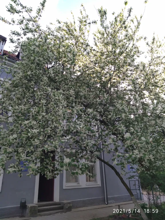 Уютная квартира с видом на море