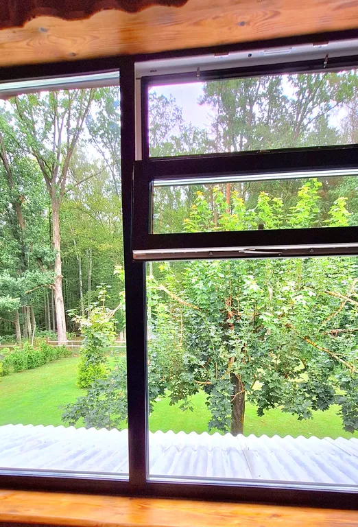 Домик в центре нац. парка Беловежская пуща