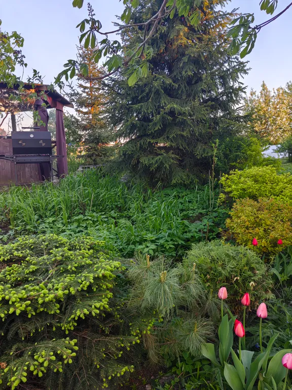 Дом в городе петрозаводске с красивым уединённым участком и баней