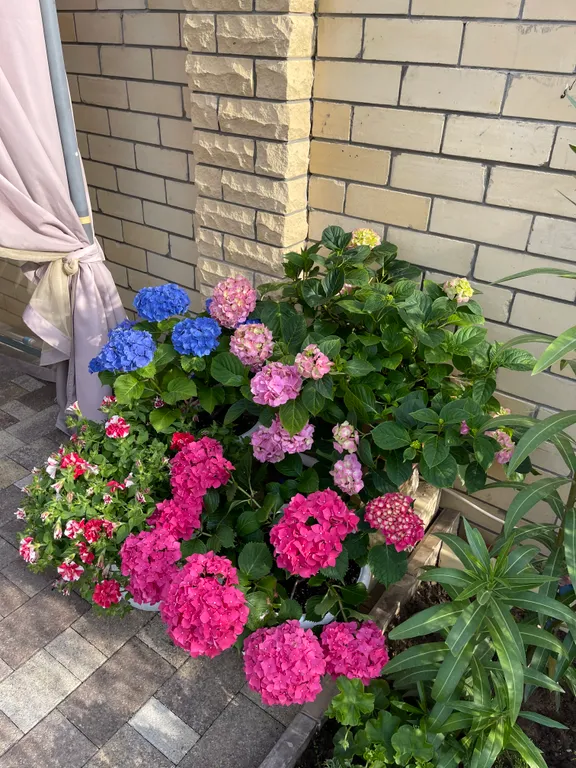 Жемчужина у моря