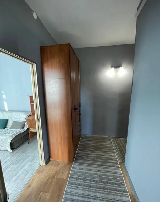 Однушечка в центре