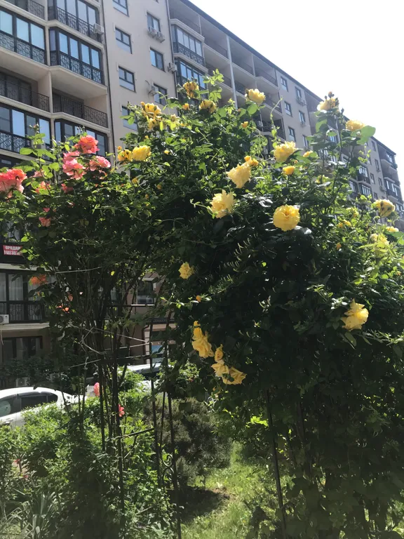 Уютная квартира у моря