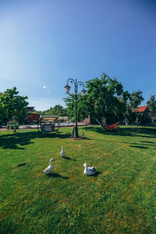 Берег мечты