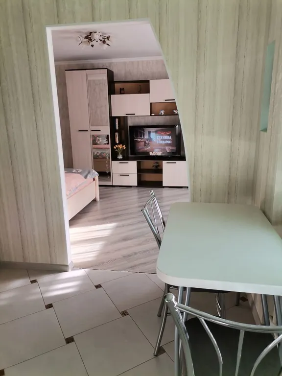 Уютная однокомнатная квартира