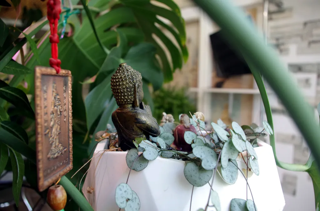 Квартира - студия в стиле лофт — аренда посуточно в Ялта