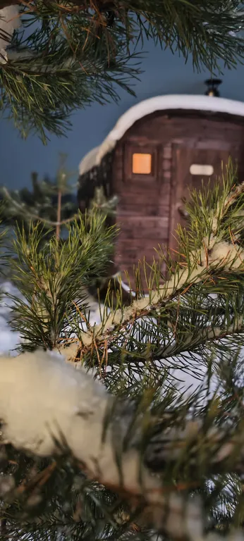 1-комнатный Дом