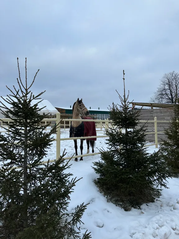 Стильный дом с чаном