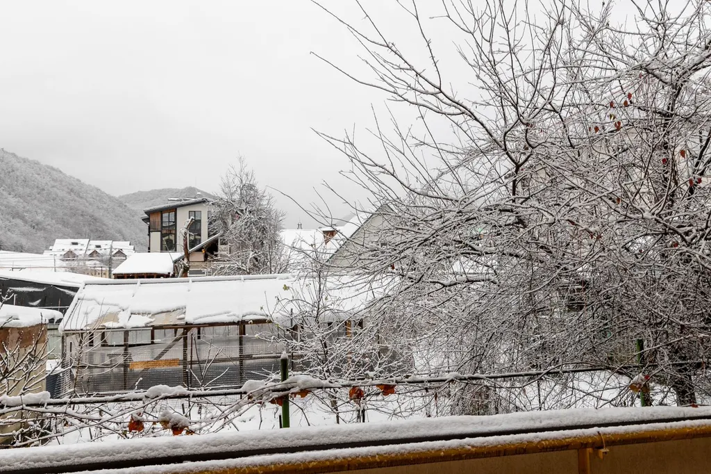 Квартира в центре