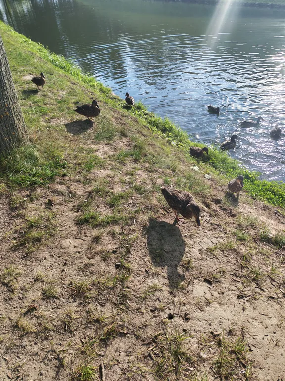 Уютный домик в парковой зоне