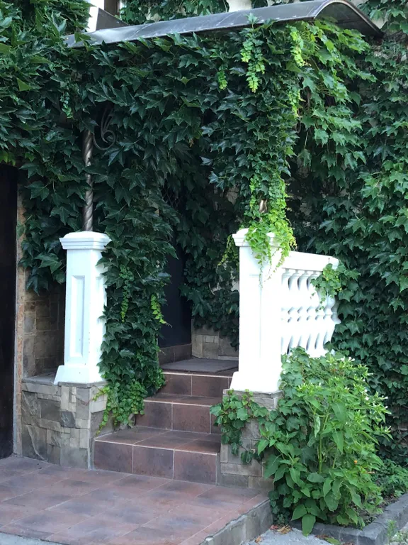 Коттедж с шикарной видовой террасой и шезлонгами