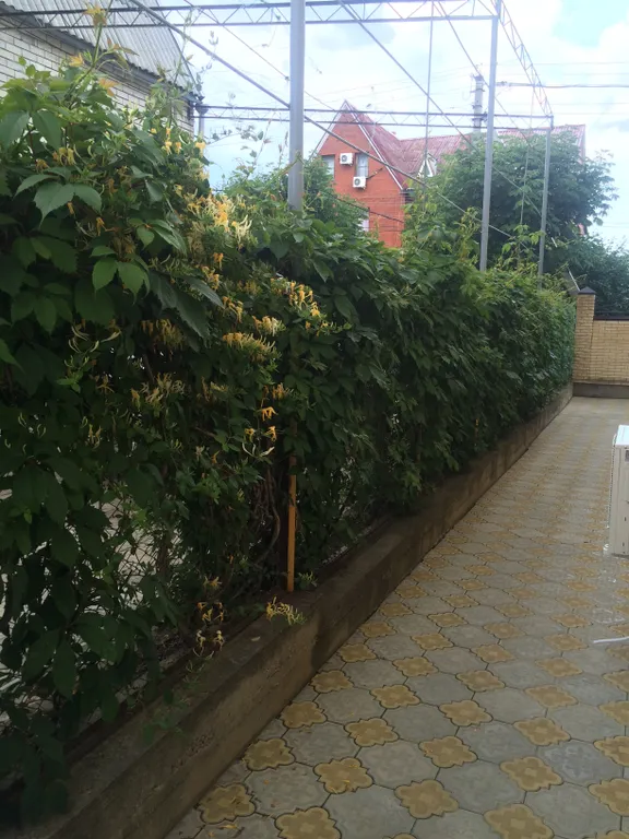 Уютный номер рядом с морем