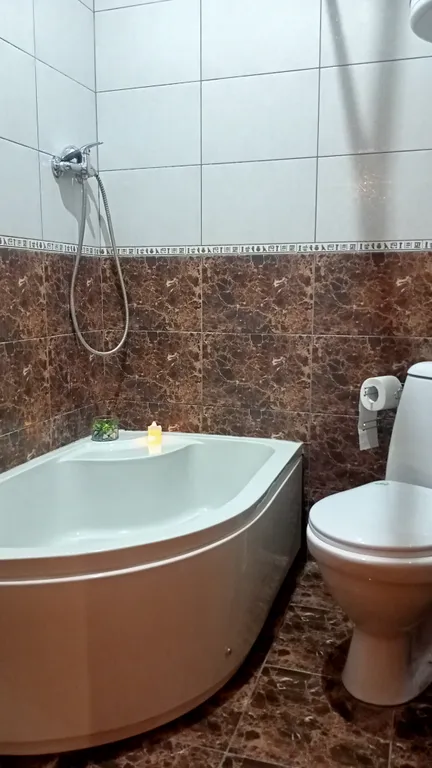 Квартира с видом на берег озера с лебедями, в историческом центре